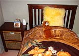 ���ڰ�ü������þ�û����̳��(������20)