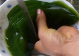 ̩˳��ɫС���̶���(������753)