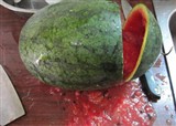 �Һ����϶�����(������561)
