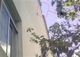 ����һ���ף��Ҽ���ʧ����(������457)