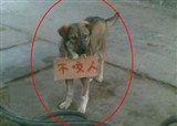 ���Եĺù�(������413)