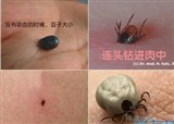����桱���ǧ��Ҫ����ҧ��(������552)
