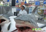 �ֶ��곬�о�Ȼ��������(������333)