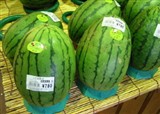��������˵��ձ�ũ��Ʒ(������444)