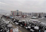 ѩ�µ���ô��~�µ���ô����(������412)