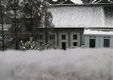 ������ѩ��Ƶ(������1226)