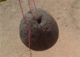 �Ҽ��˸��Ŷ�������(������636)