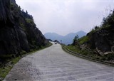 �Ǳ����й���(������319)