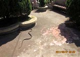 ���ߴ�ս--�˻���(������1348)
