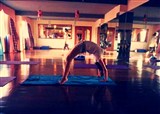 �����������ҵ��٤(������653)