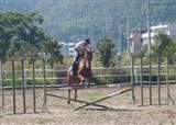 �Ķ����������μ�(������642)