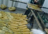�óԵķ�������(������1494)