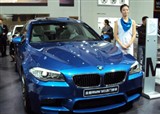 ĳ�س�չ����Ҷ�������(������304)