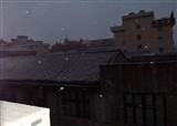ҹ����ѩ�µø�����(������333)