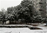 2012���ŵڶ���ѩ(������350)