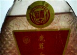 �����ٺȵ�¹��ѪҺ(������205)