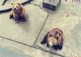 ��ɽ����԰�տ�(������353)