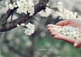 ���ѹ�Ӣ-������_��(������104)