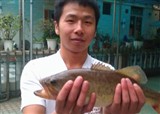 2012.03.23�����Լ�·�Ǽ�¼(������561)