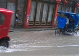 ��������ݵĵش�(������1316)
