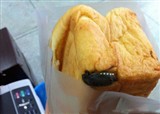 һ��������緹�����Ƿḻ��(������449)