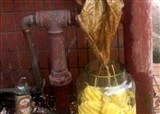 ϲ���Խֱ߲��ܵ�Ҫע���ˣ���(������926)