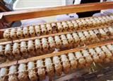 ��һ�ο���������(������319)