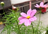 �ֿ����˿���(������214)