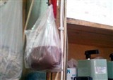 ���ǽ���hoji���ŵ����ζ���Ҿͻ��������������(������673)