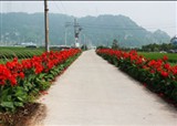 ���ŵ� �컨���(������811)