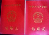 ������������ĺ챾��(������457)