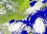 ̨�罫�� ÷ũ����(������772)