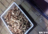 ��ţ��ҵ����һ����ܳ����Ҳ�(������388)