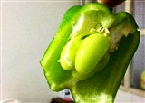 �ཷ�ﻹ���ⶫ������һ�μ�(������340)