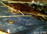 �л���Ҳ�ϲ���(������389)