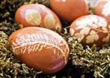 ����Ҷ����ע���ˣ����� (������1130)