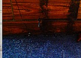 ���ŵ��³���¥�ݶ���δ����ȥ(������366)