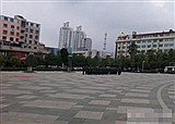 �����򸮹㳡�Ͼ�ѵ�Ķ���(������251)