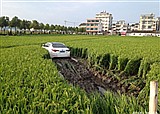 һ���γ����뵾����(������801)