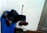 �㽭Ů��ʦŰͯ��Ƭ(������322)