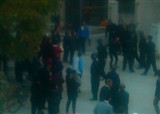 ������᪶�����ס������(������306)