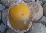 �ټ����ں��Ų��г�������(������839)