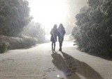 ������ҹ��᡿2012ѩ��(������176)