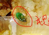 ����yao~�����㵱(������175)