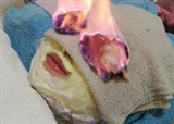 ������Ժϴ��(������397)