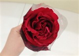 ��λ�͵Ļ����츾Ů��(������126)