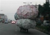 ����ҡ�ε����ֳ�(������120)