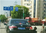 �������ϸ�С������(������604)
