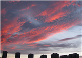 �����ĺ������(������651)