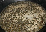 �ؿ�ζ������С���(������1224)